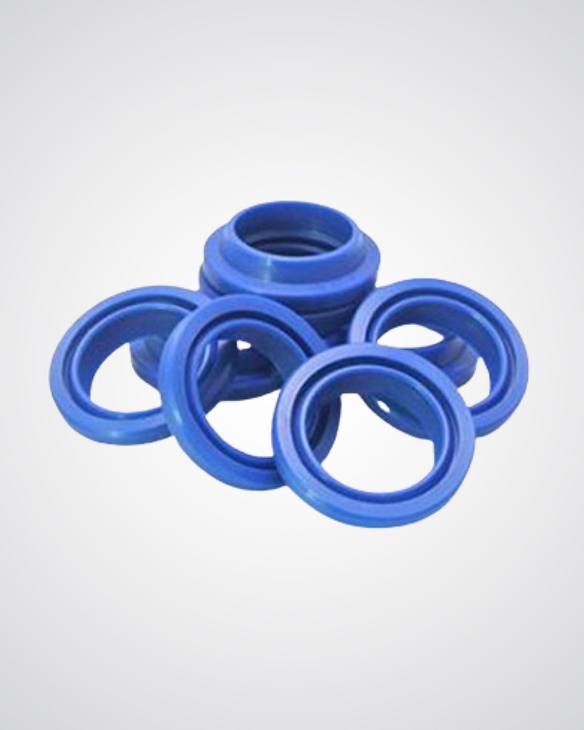 Rod Seals